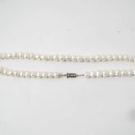 601 3628 PEARL NECKLACE